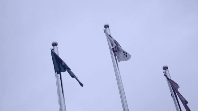 Flags waving on tall flagpoles