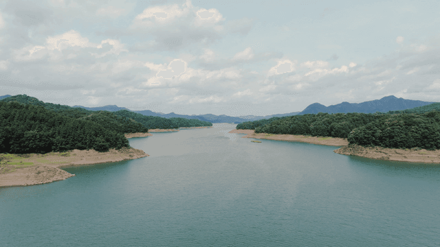 푸른 숲 사이로 흐르는 고요한 호수