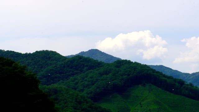 Hills covered with dense greenery under a cloudy sky