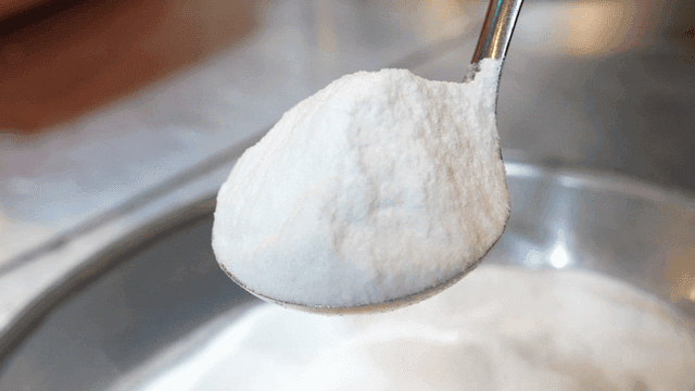 Spoon full of probiotic powder scooped from metal bowl