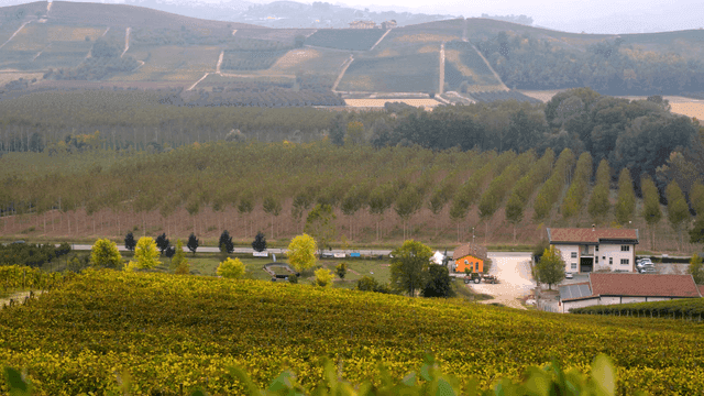 A scenic view of a vineyard and farmhouses