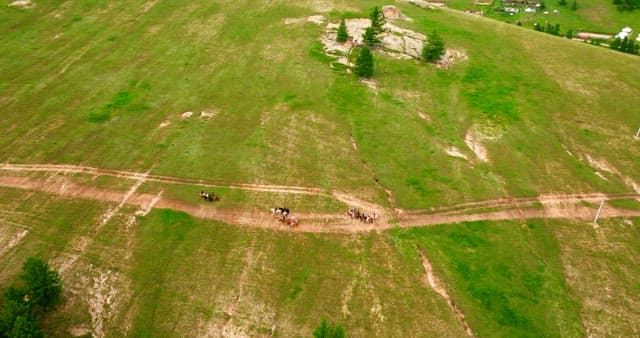 People riding horses on a vast green field