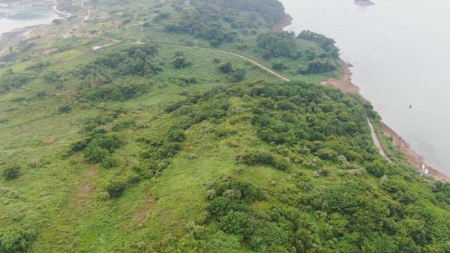해안가의 푸른 언덕