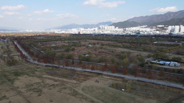 도시 스카이라인이 보이는 넓은 공원