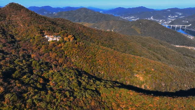 숲이 우거진 산맥의 항공 뷰