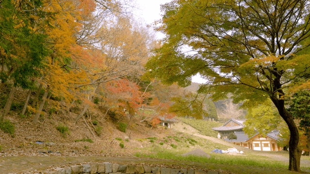 Quiet temple surrounded by autumn trees