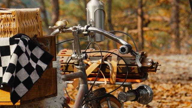 Vintage Bicycle with Basket Parked in Autumn Forest