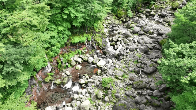 People exploring a rocky forest stream