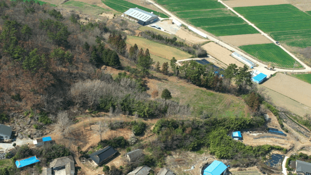 Countryside scenery with fields and forests