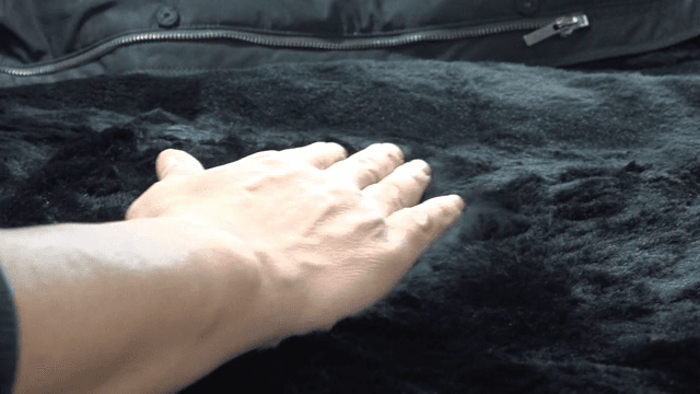 검은 털 표면을 부드럽게 쓰다듬는 손