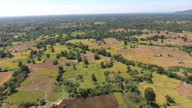 Expansive farmland with lush greenery