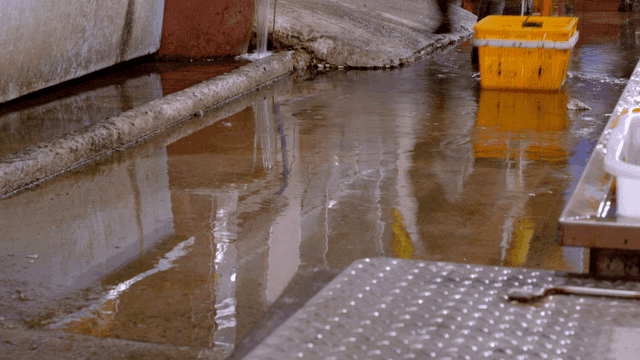 Person dragging basket stuck in ground of puddle