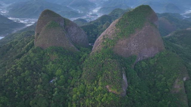 새벽녘에 녹음이 우거진 높은 산봉우리
