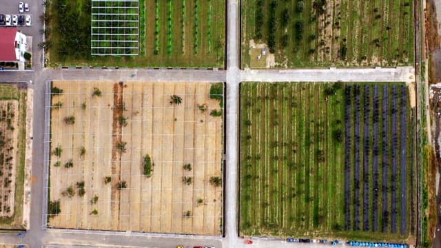 가지런한 사각형 모양으로 나뉜 농경지의 전망