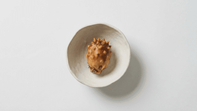 Fresh sea squirts in white ceramic bowl