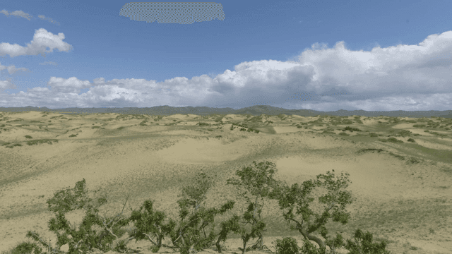 드문드문 초목이 있는 광활한 사막 풍경