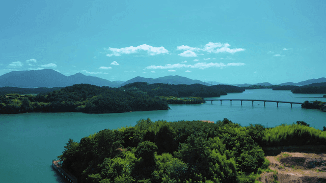 Scenic sea with bridges and mountains