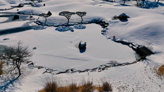 Winter Walk in a Snowy Landscape