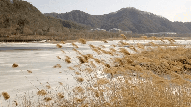 갈대와 산이 있는 고요한 얼어붙은 호수