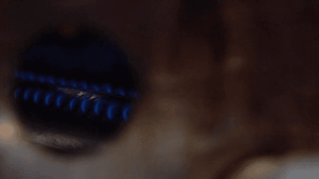 가스레인지에서 타오르는 파란 불꽃