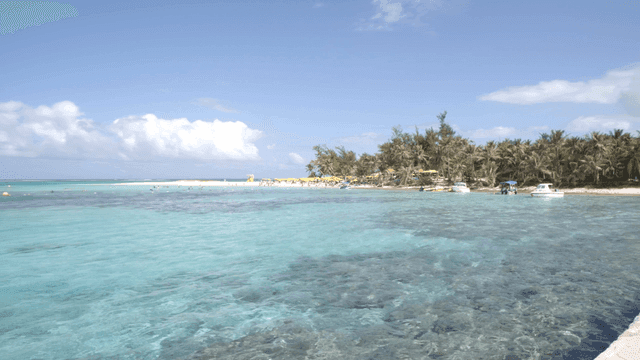 맑은 푸른 물이 있는 열대 해변