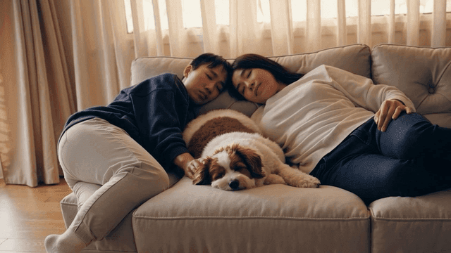소파에서 낮잠을 자는 부부와 강아지