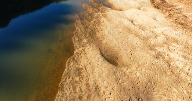 맑은 날 평화로운 강가