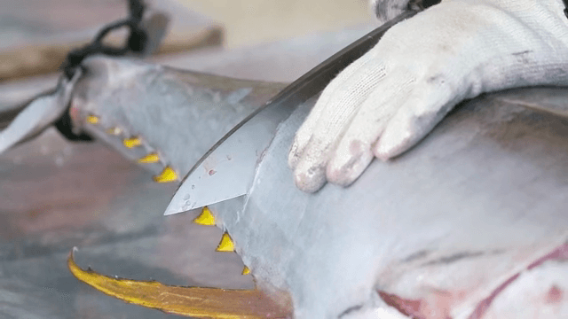 칼로 능숙하게 생선을 필레로 만드는 장면