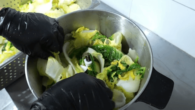 믹서기에 넣는 배추