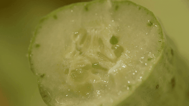 신선하고 채즙가득한 오이 단면 근접 촬영