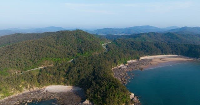 Scenic Coastline with Lush Greenery and Road