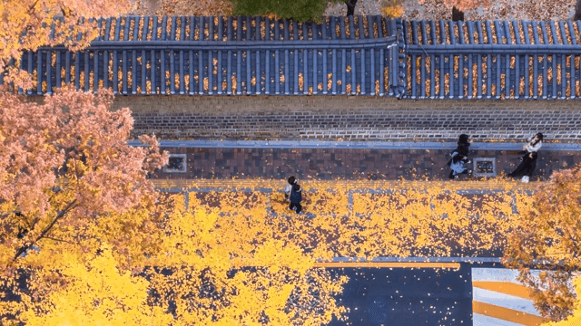 People walking on a leaf-covered path next to stone walls