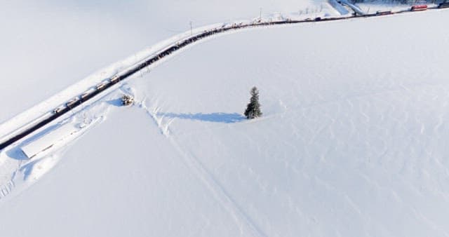 Snowy Landscape with Solitary Tree and Road