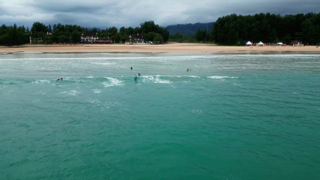 People surfing on a tropical beach