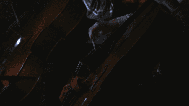 Musician playing the cello in dim light