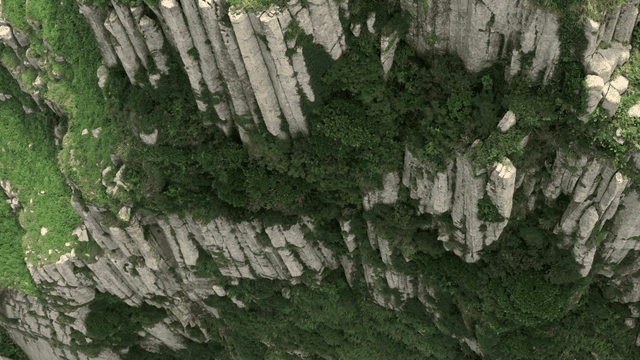 무성한 초목이 있는 푸른 절벽