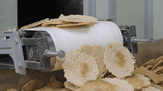 Rice crackers produced on conveyor belt