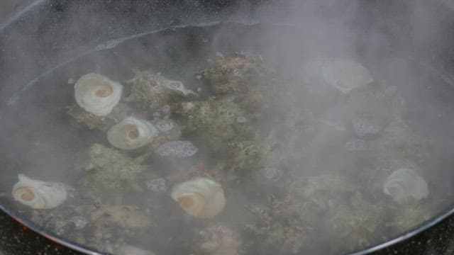 Conches boiling in a pot filled with hot water and steam