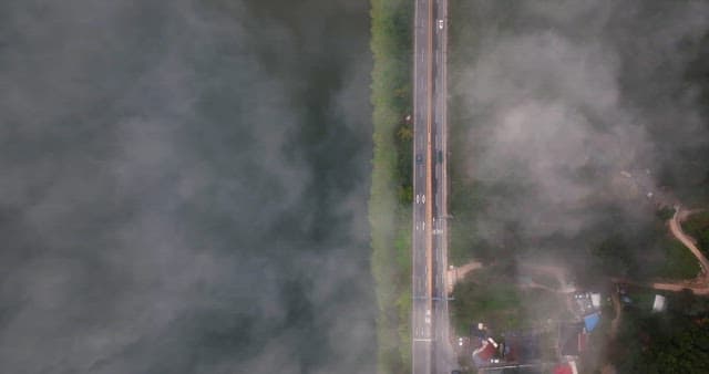 Misty road surrounded by lush greenery