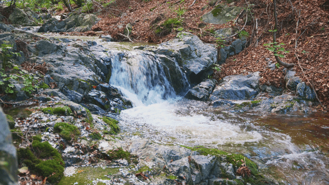 바위 위로 흐르는 고요한 숲 속 계곡