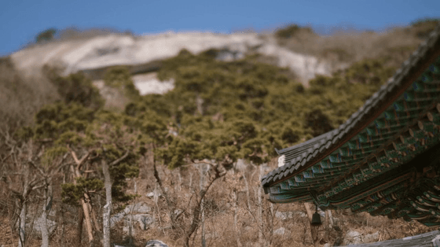 산 아래 전통적인 한국 사찰 지붕