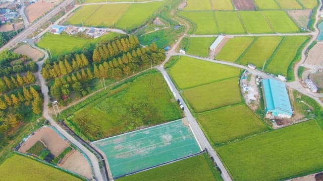 Expansive farmland with green fields