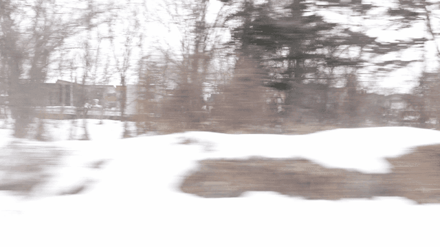 Snowy forest with distant houses