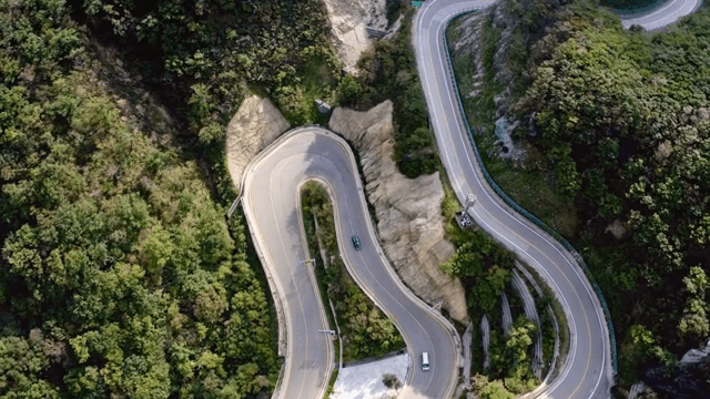 숲으로 둘러싸인 구불구불한 산길