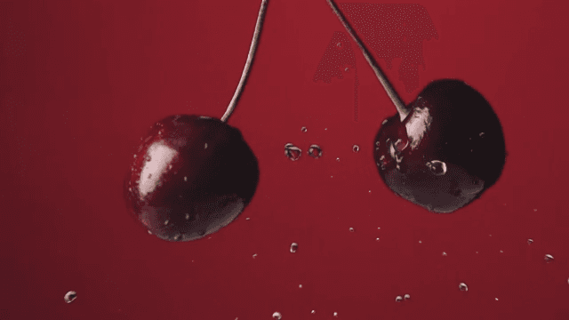 Fresh cherries with water droplets in motion