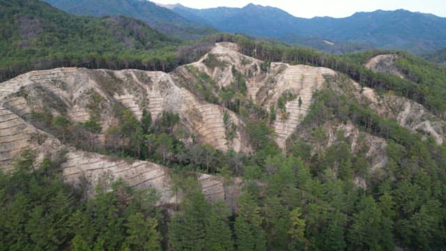 나무가 다 잘려 황량한 산의 모습