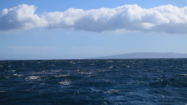 Humpback Whale Tail Flipping in Sea