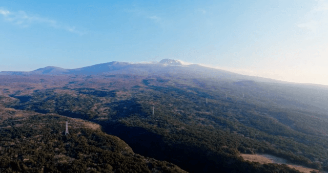 숲이 있는 광활한 산 풍경