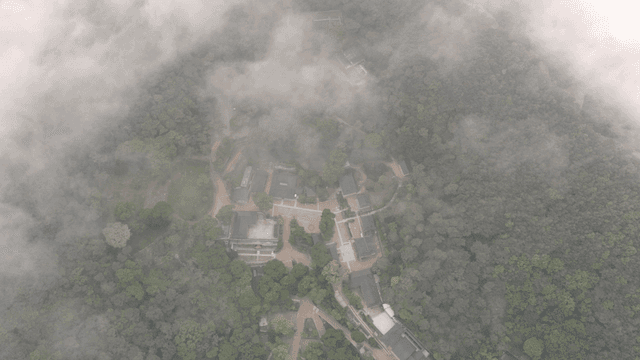 전통 한국 마을이 있는 안개 낀 숲