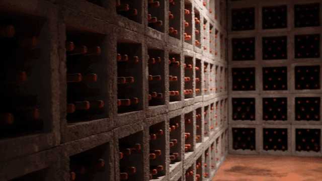 Wine bottles stored in a cellar